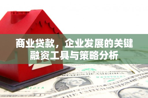 社旗商业贷款，企业发展的关键融资工具与策略分析