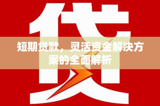弋阳短期贷款，灵活资金解决方案的全面解析
