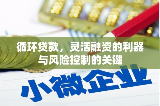 台中循环贷款，灵活融资的利器与风险控制的关键