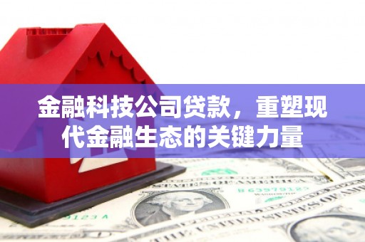 莲都金融科技公司贷款，重塑现代金融生态的关键力量