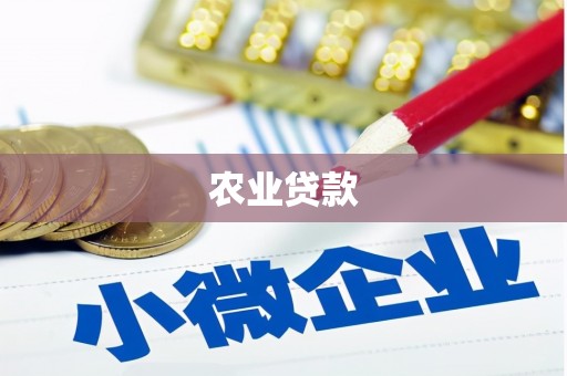沙依巴克农业贷款