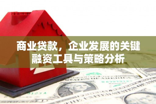 壶关商业贷款，企业发展的关键融资工具与策略分析