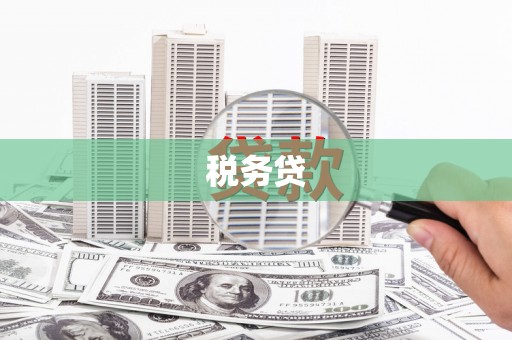 应县税务贷