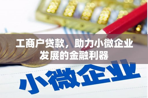 康县工商户贷款，助力小微企业发展的金融利器