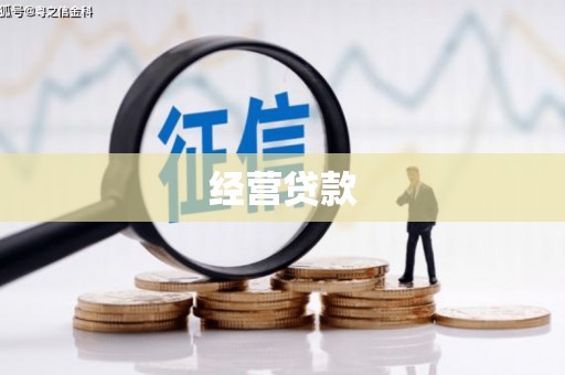 日土经营贷款