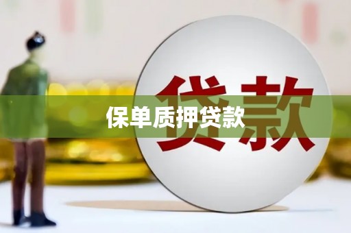 天峨保单质押贷款