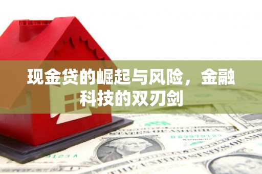 印台现金贷的崛起与风险，金融科技的双刃剑