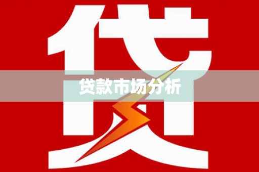 新华贷款市场分析