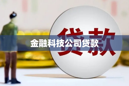 罗平金融科技公司贷款