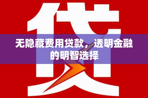 天长无隐藏费用贷款，透明金融的明智选择