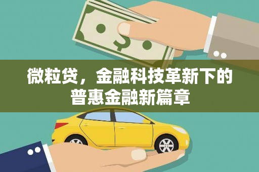 高淳微粒贷，金融科技革新下的普惠金融新篇章