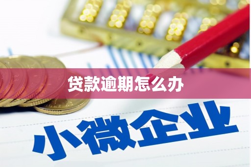 温江贷款逾期怎么办