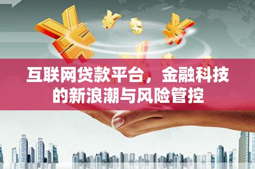 奎文互联网贷款平台，金融科技的新浪潮与风险管控