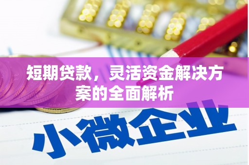 长乐短期贷款，灵活资金解决方案的全面解析