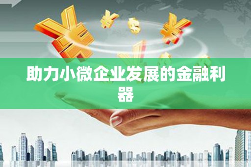 稻城助力小微企业发展的金融利器