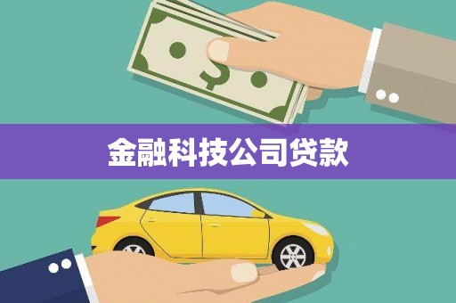 温泉金融科技公司贷款