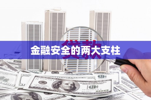 平陆金融安全的两大支柱