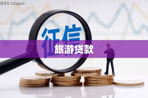新华旅游贷款